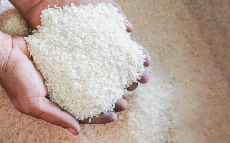 Rice
